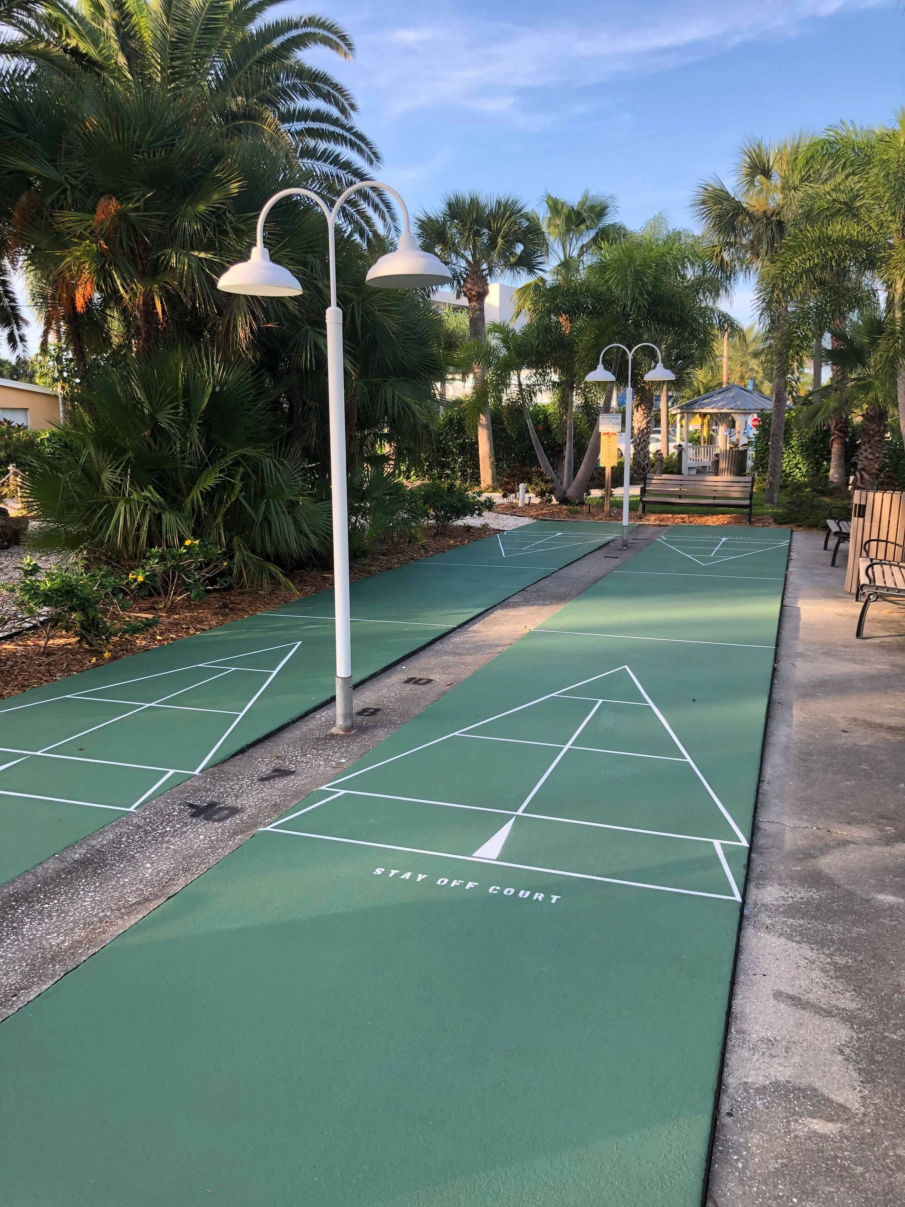 Pista de shuffleboard amb marques verdoses, envoltada de palmeres i bancs.