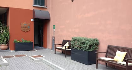 Hotel Lizard