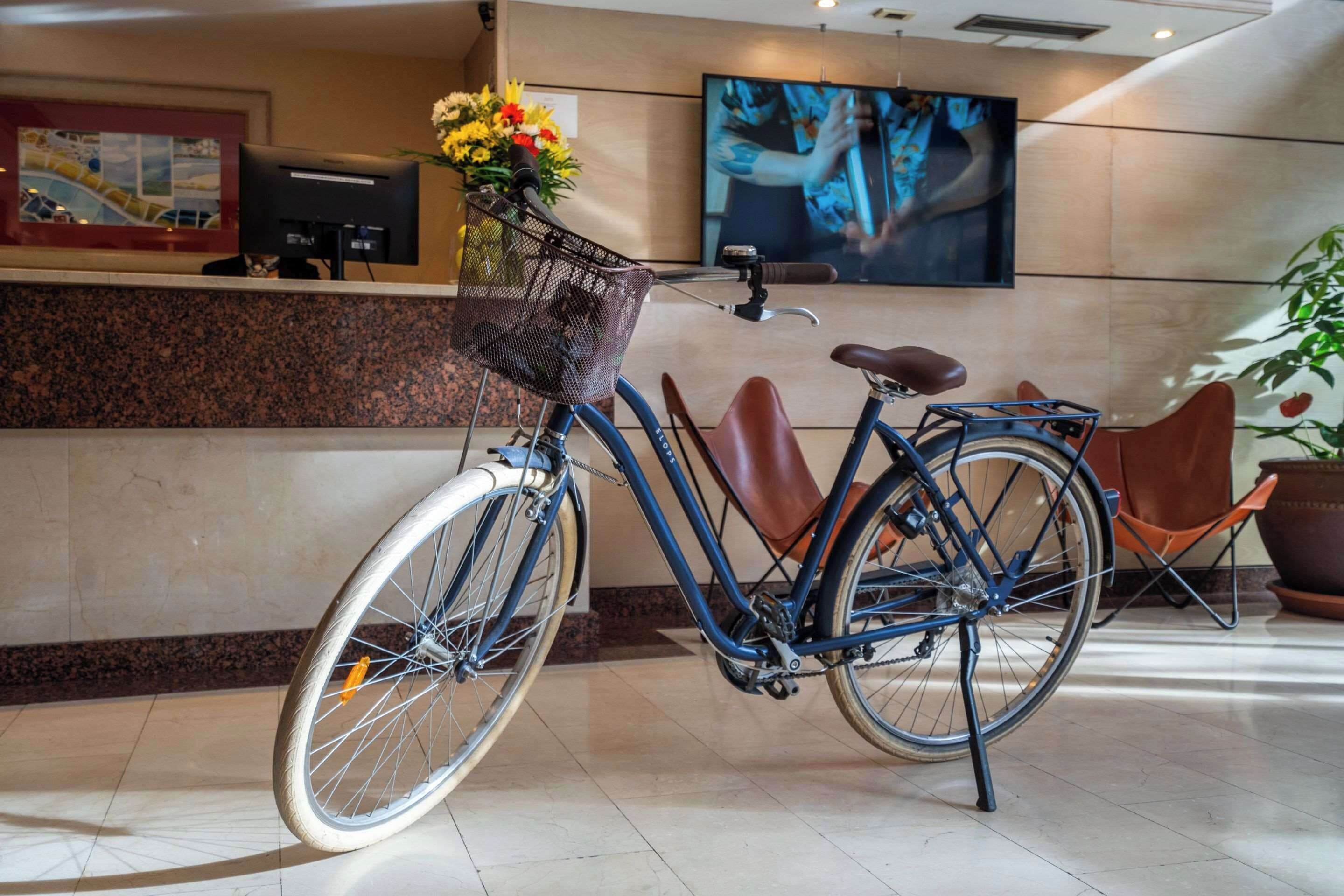 Photo - Sunotel Junior