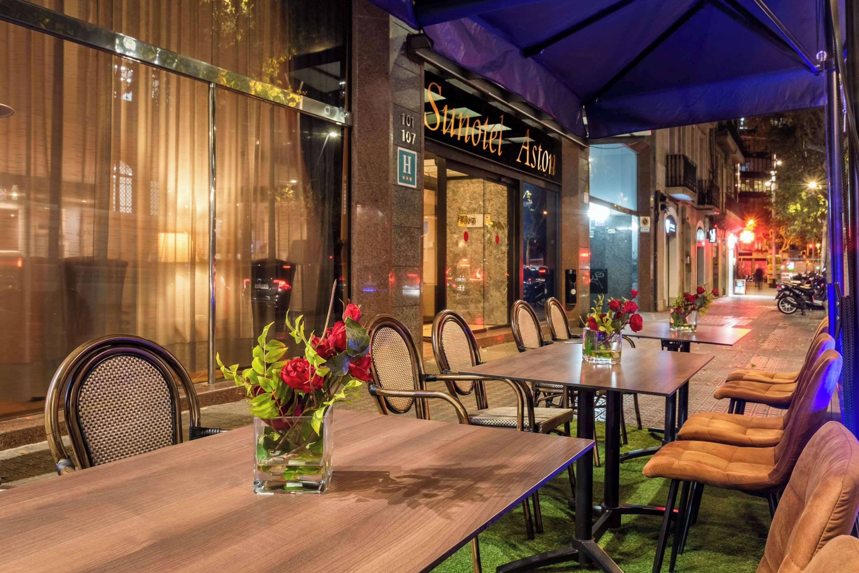 Foto - Sunotel Junior