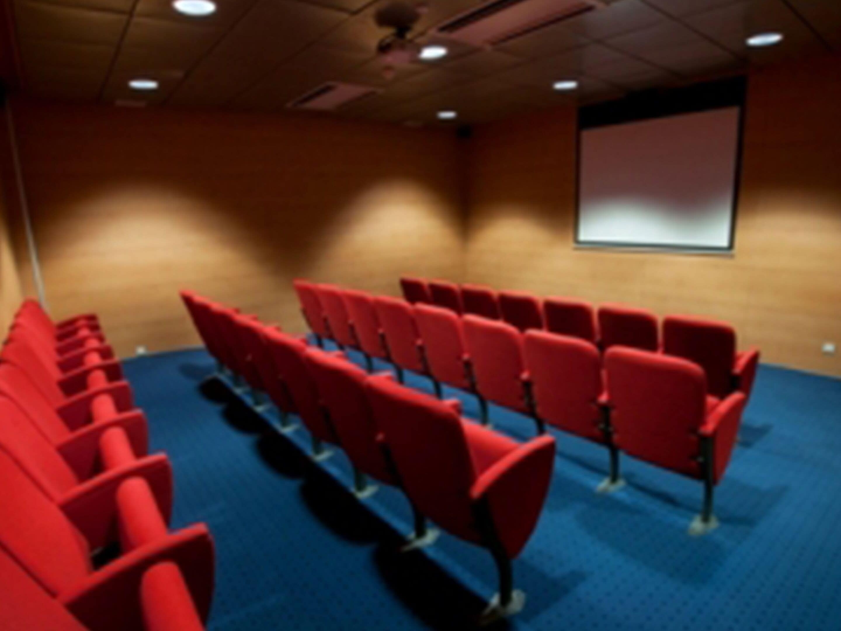A movie theater with rows of red seats and a blue carpet.
