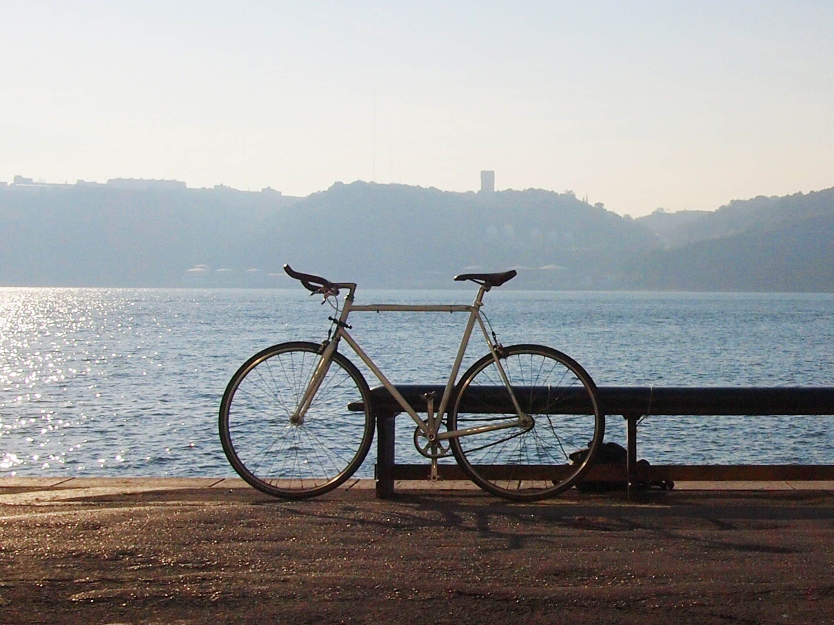 A bicycle parked by a railing overlooking a body of water with a distant shoreline.