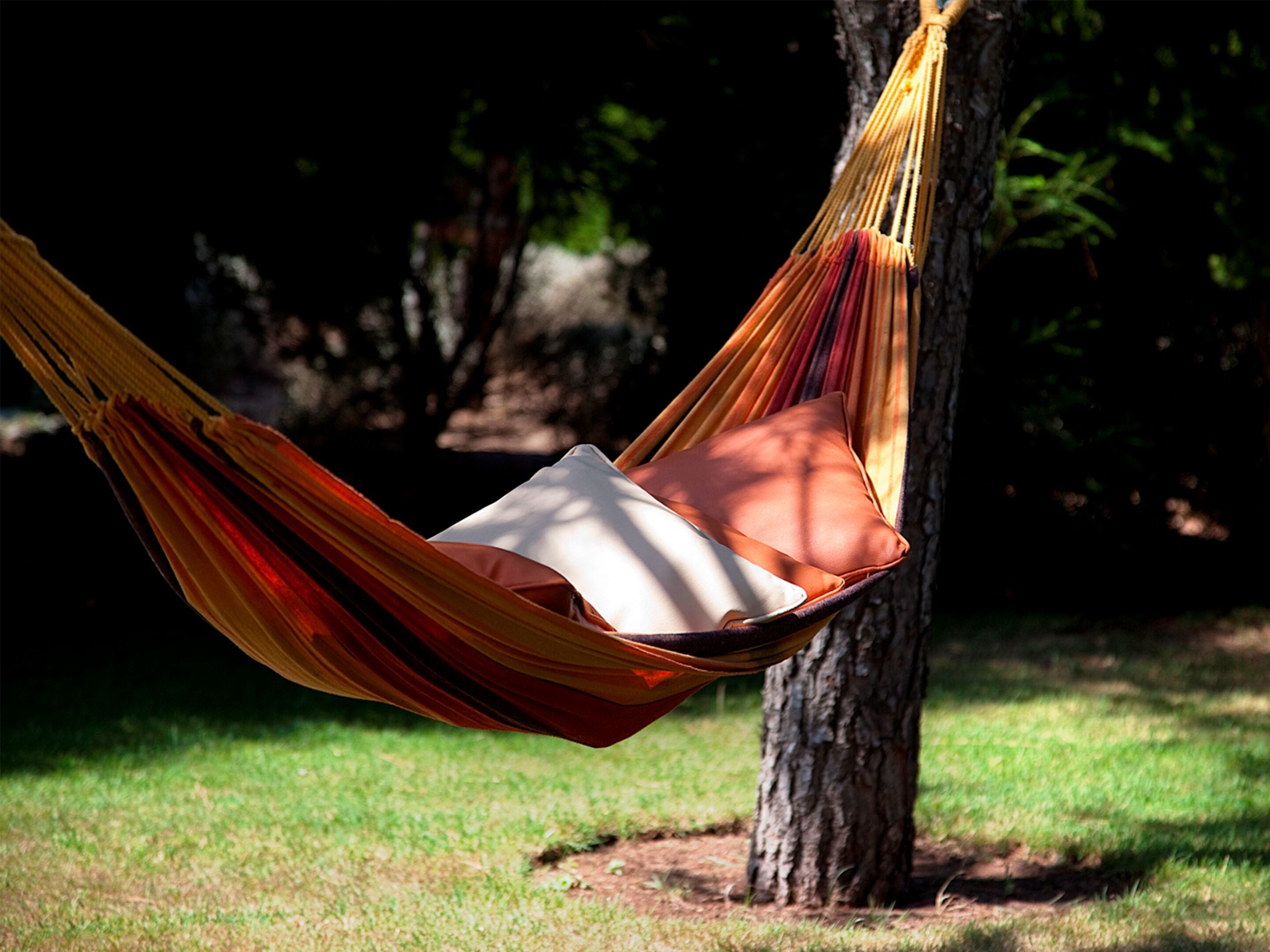 A hammock tied between trees in a grassy area.