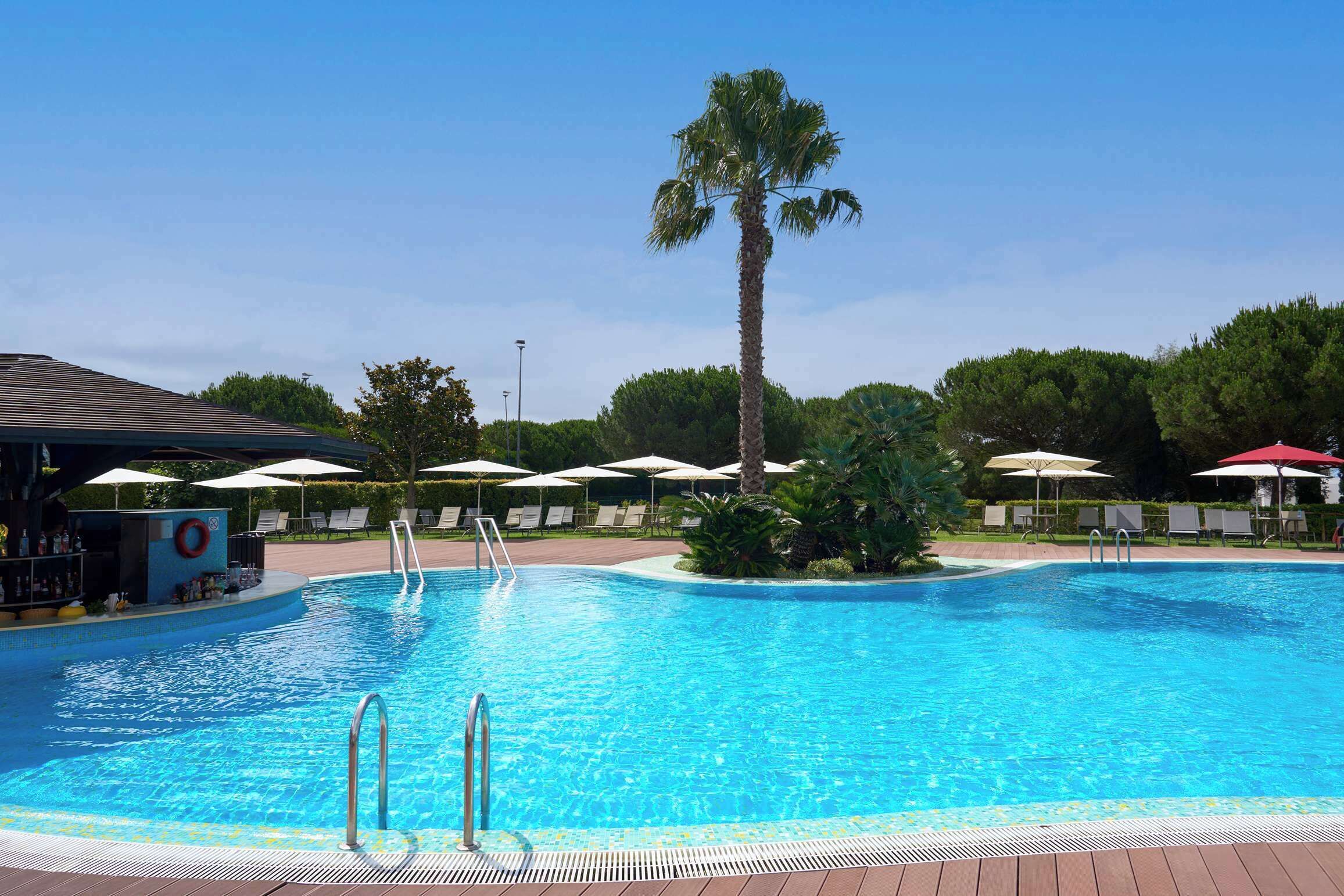 A swimming pool with a clear blue water, surrounded by lounge chairs and umbrellas, and a palm tree in the center.