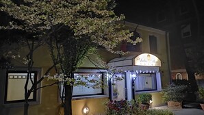 A hotel entrance with a sign reading "Antico Moro Hotel" and a tree with blossoms in front. - Hotel Antico Moro (Mestre)