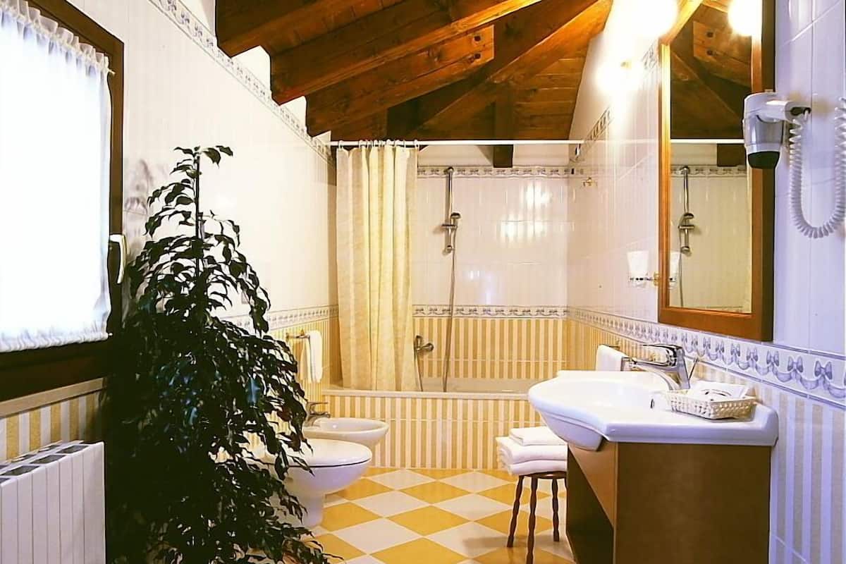 hair dryer, bidet, towels