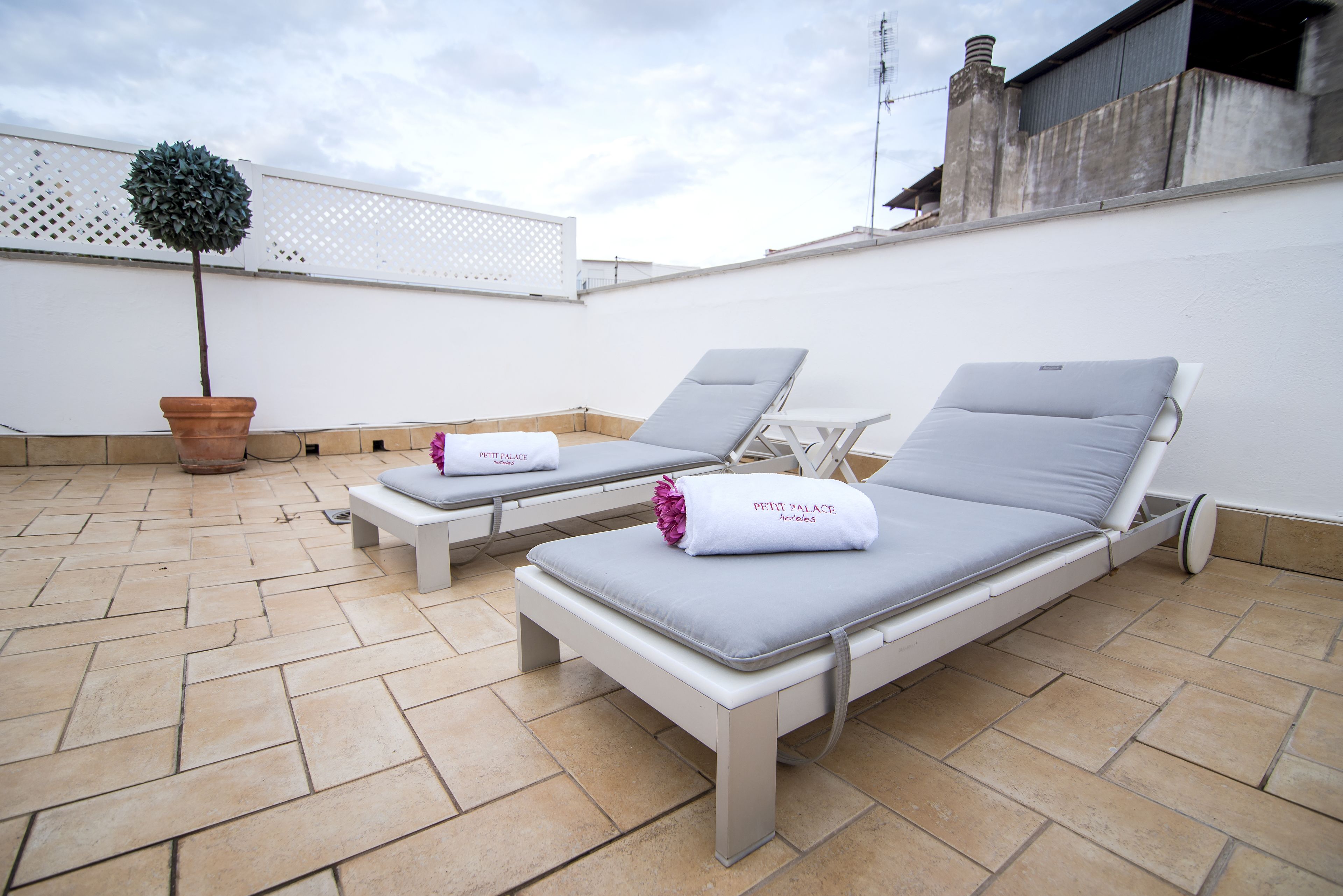 A rooftop terrace with two sunbeds, a potted tree, and a white wall.