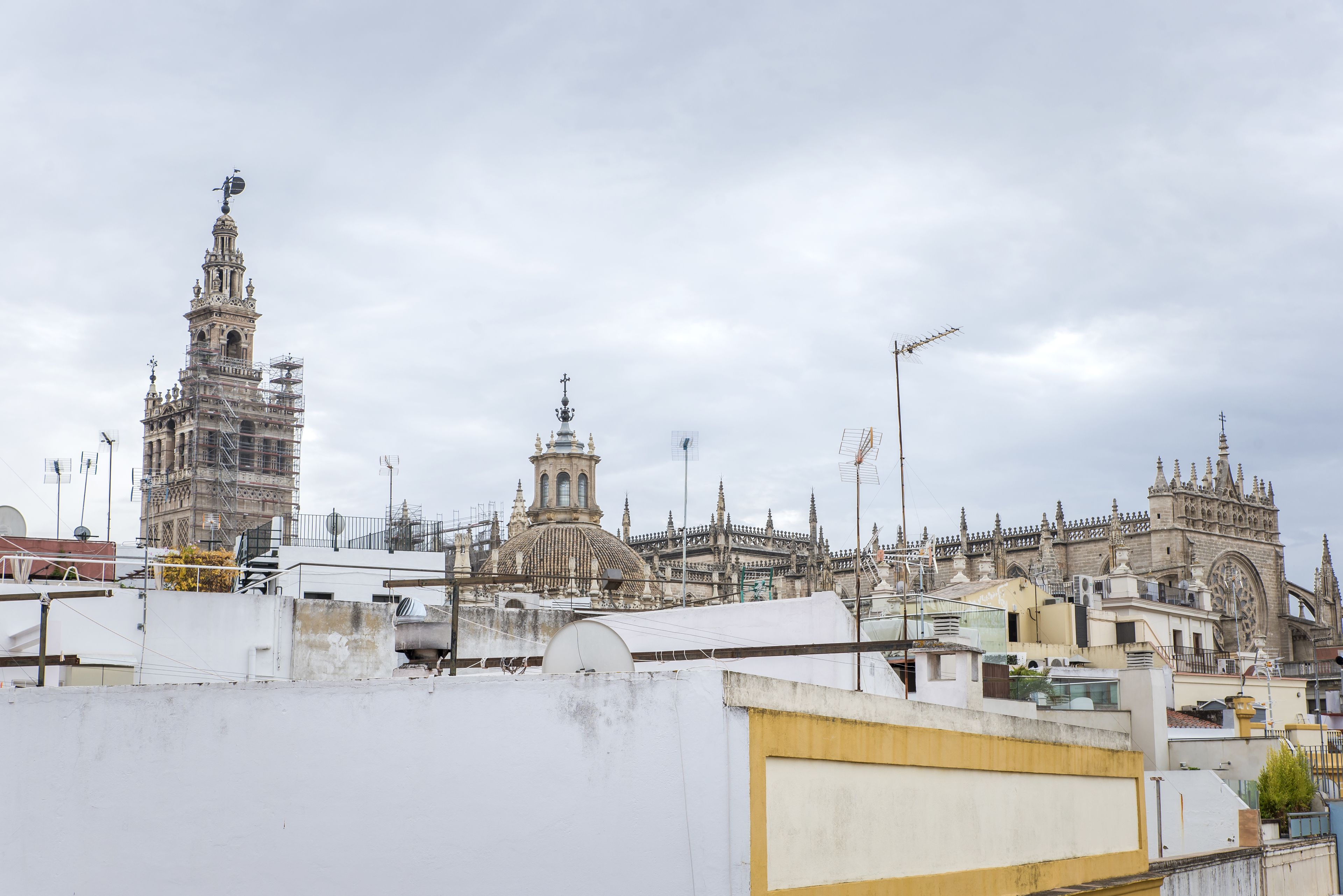 double room, terrace | city view