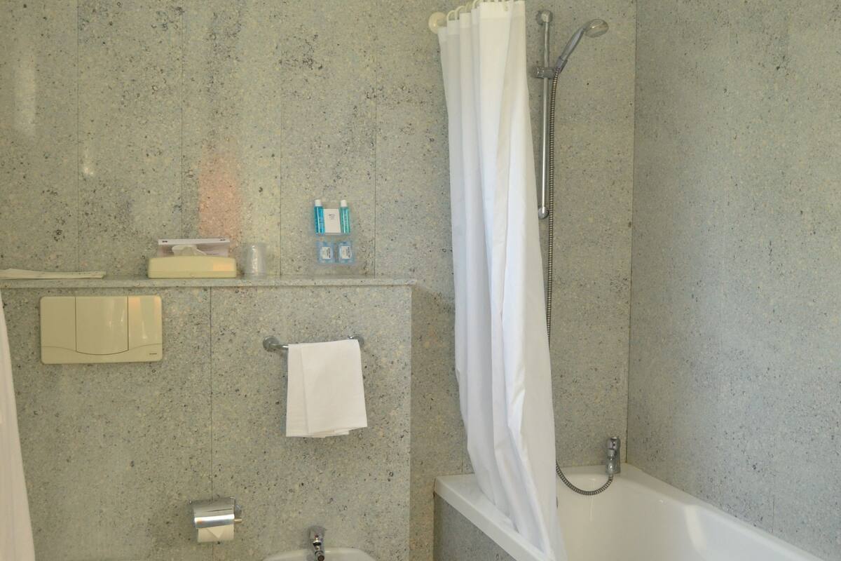 hair dryer, bidet, towels