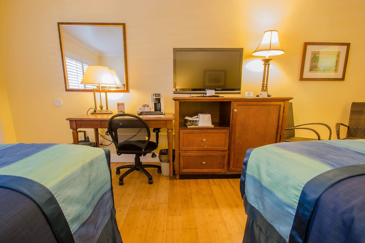 A hotel room with two beds, a desk with a computer, a television, a lamp, and a framed picture on the wall.