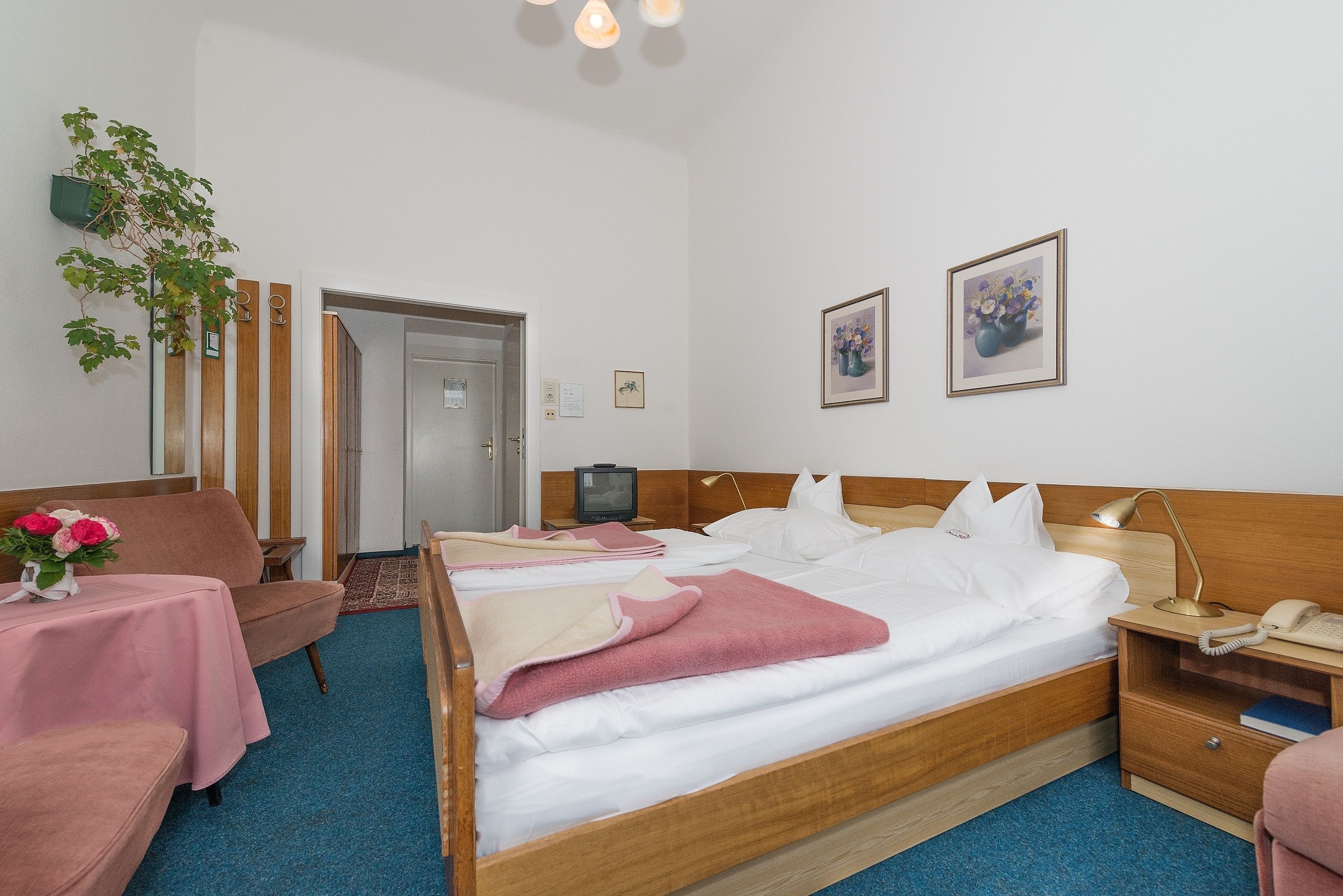 Foto - Pension Neuer Markt