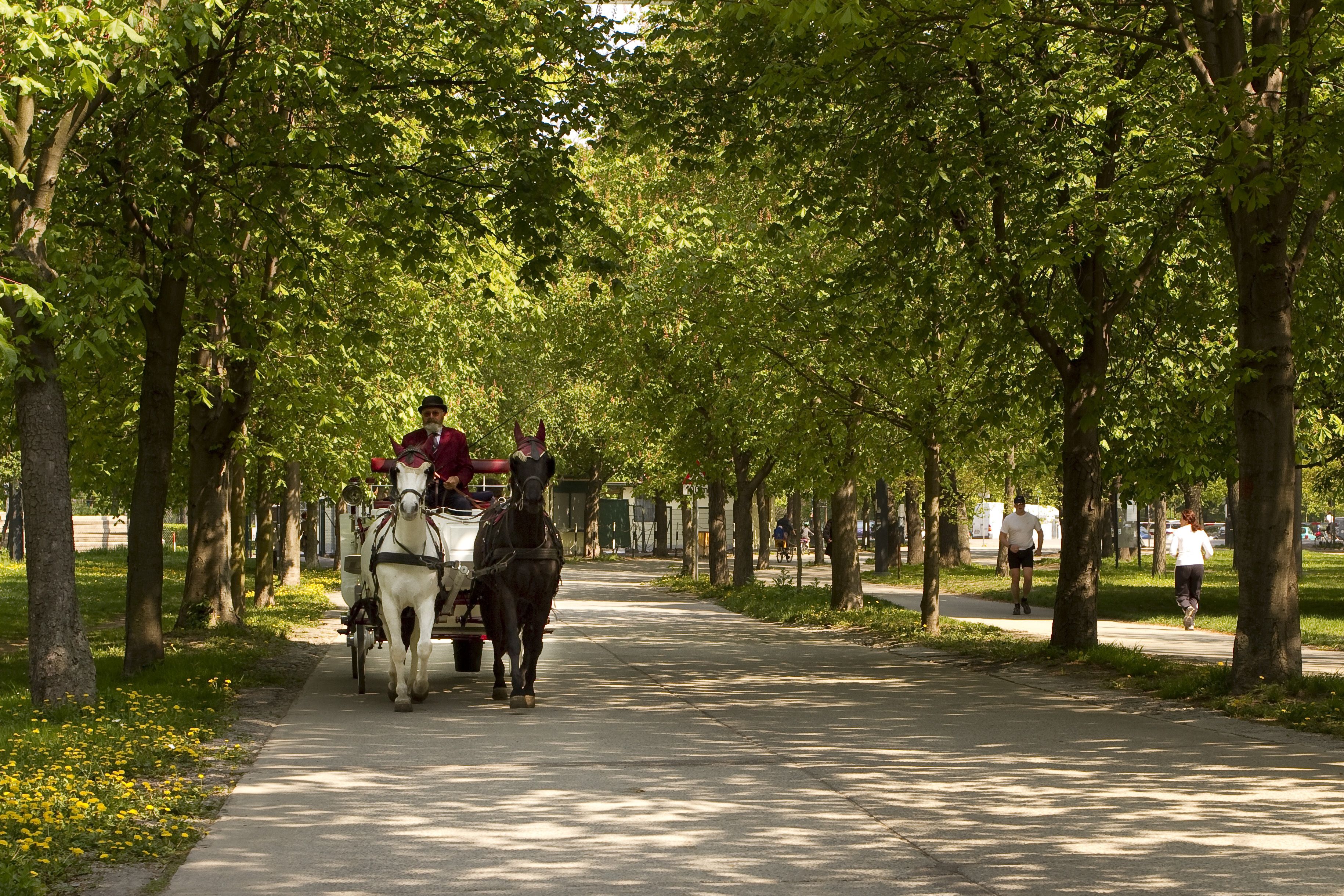 Foto - Pension Neuer Markt