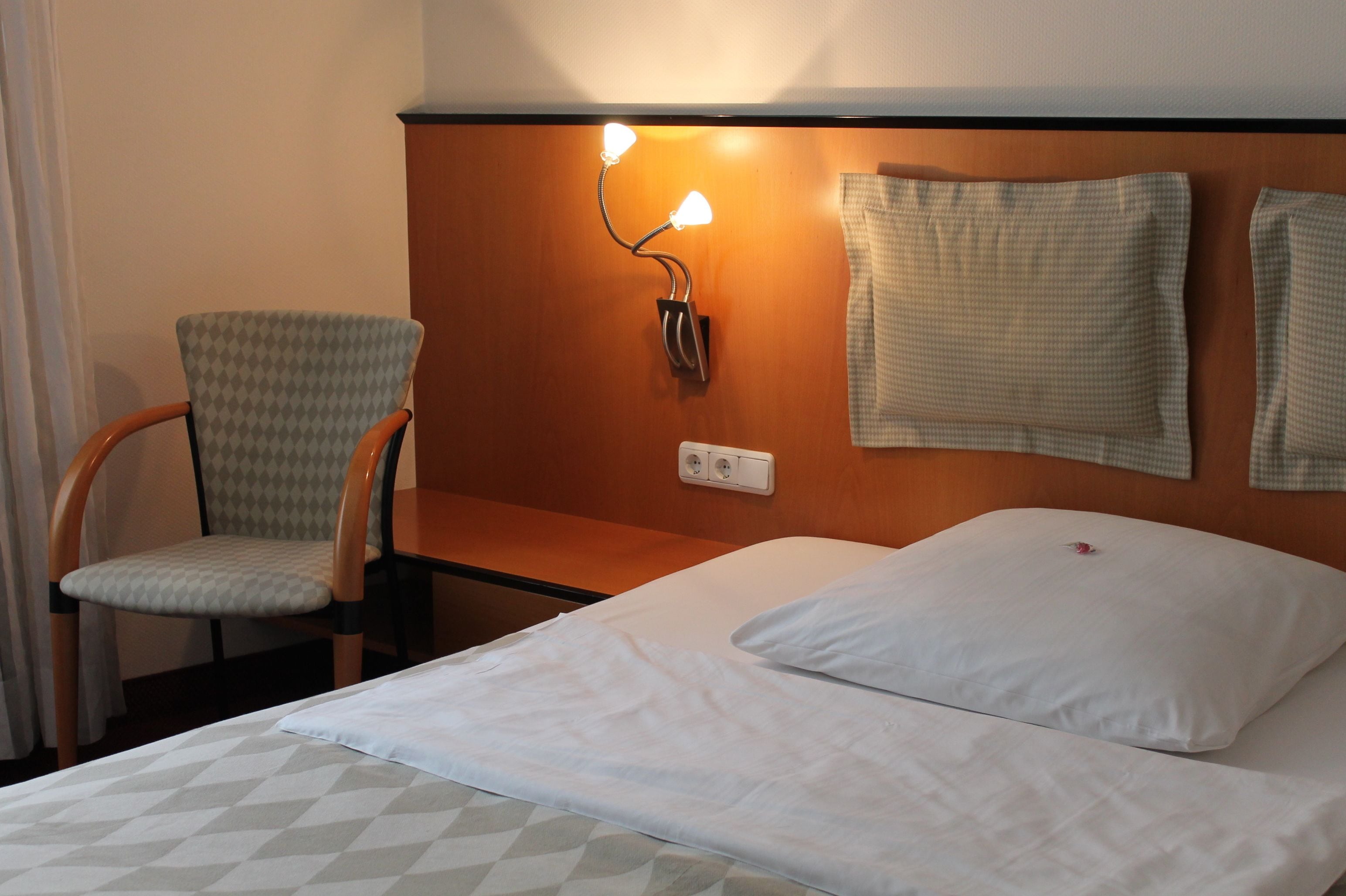 single room, city view | hypo-allergenic bedding, down duvets, memory-foam beds, minibar