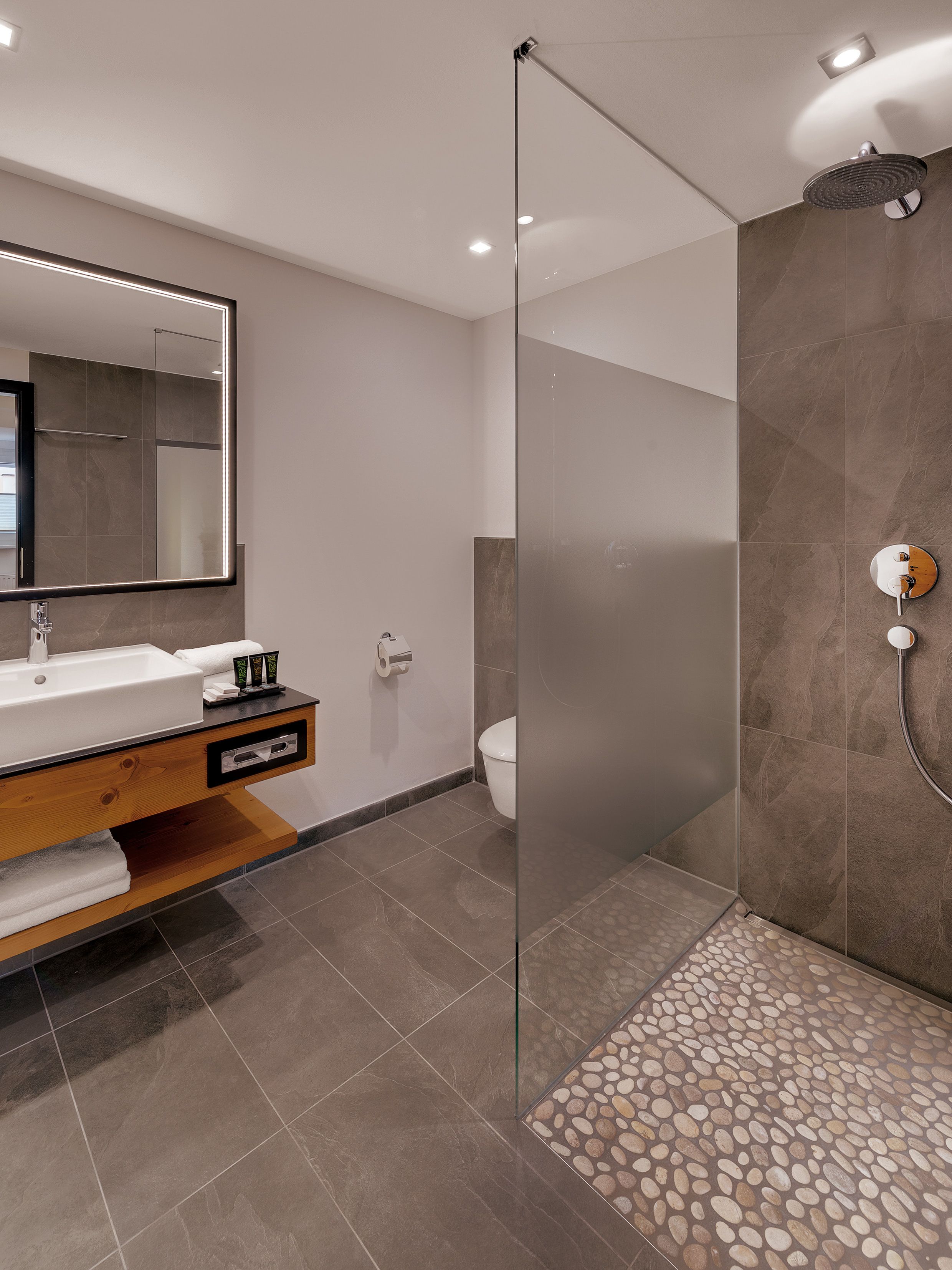 deluxe double room (alpenchic) | bathroom | shower, rainfall showerhead, free toiletries, hair dryer