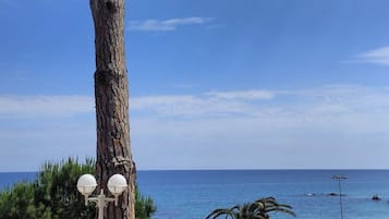 Breakfast and dinner served, beach views