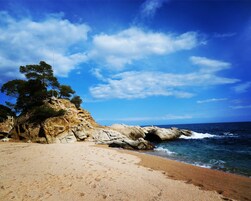 On the beach, beach umbrellas