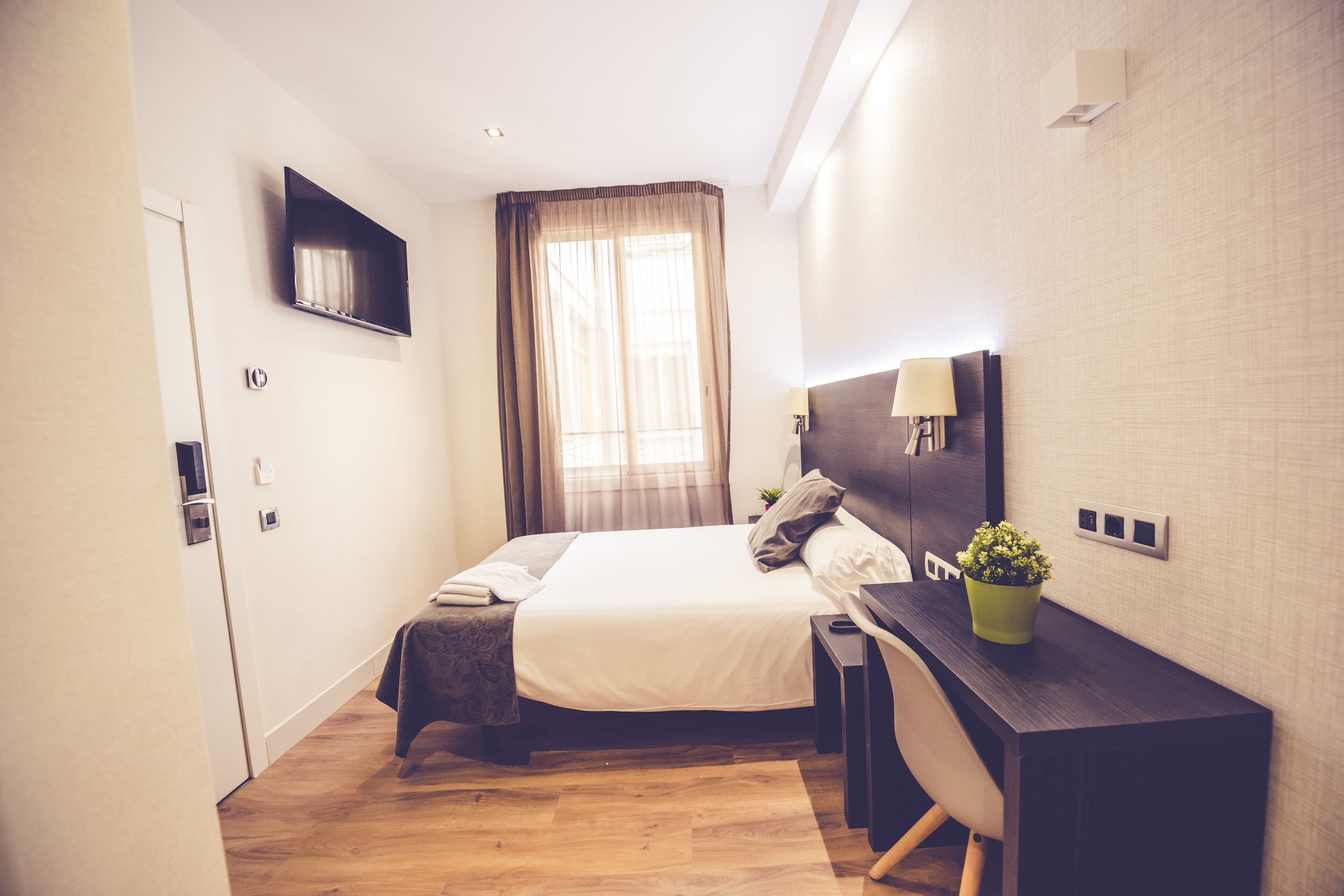 Una habitación de hotel con cama, mesita de noche, lámpara y una pequeña planta en maceta.
