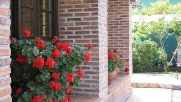 A brick exterior with a tiled patio and red flowering plants. - Hotel Benzúa (Llanes)