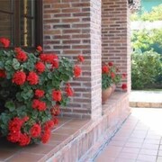 Hotel Benzúa