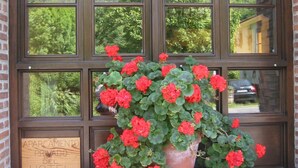A window with a potted plant of red flowers and a sign indicating a private room in a hotel. - Hotel Benzúa (Llanes)