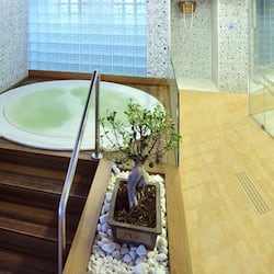 Whirlpool, Dampfbad, Türkisches Bad/Hamam, Körperbehandlungen