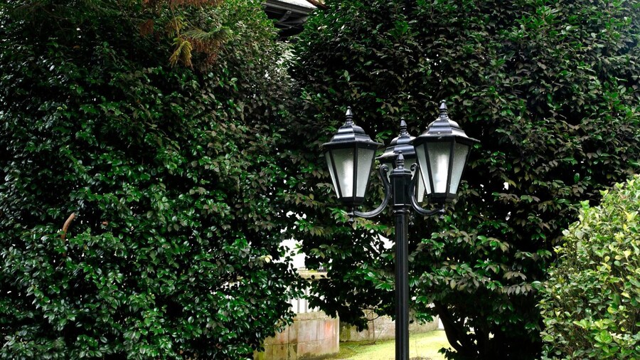 Palacio Arias & Hotel y Apartamentos Arias