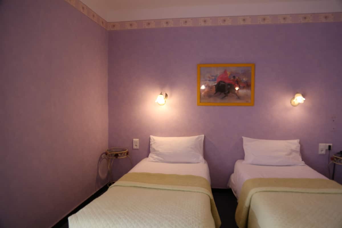 Superior Twin Room (Climatisation)