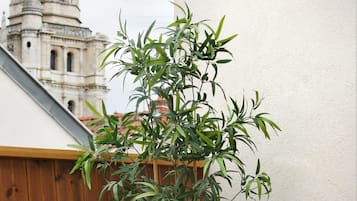 Apartment, 1 Bedroom (Pommard) | View from room