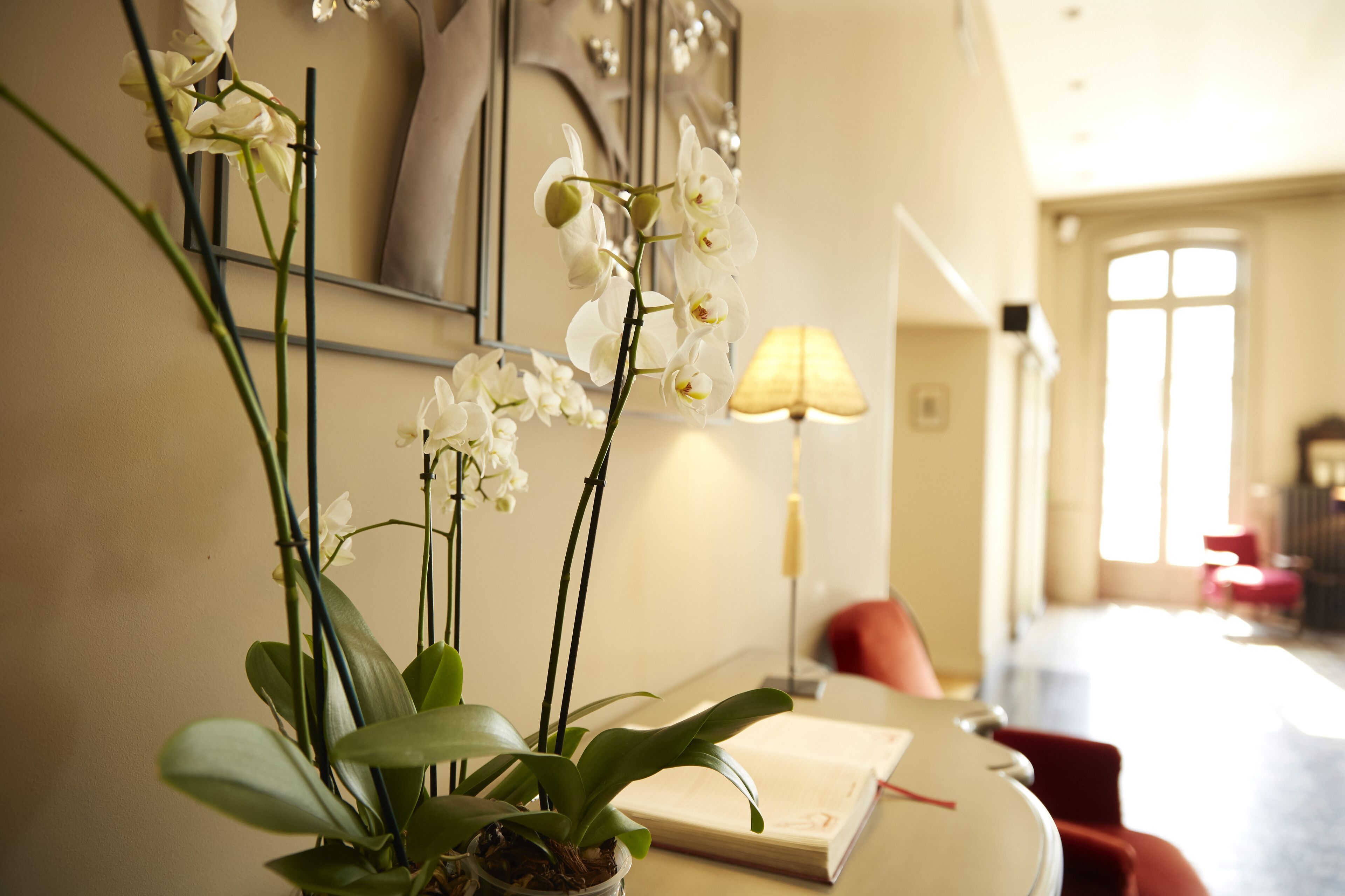 A room with a desk, a lamp, and orchids.