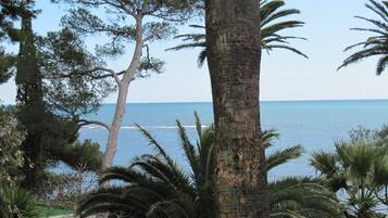 A coastal view with palm trees and a clear sky.