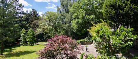 Udendørsområde