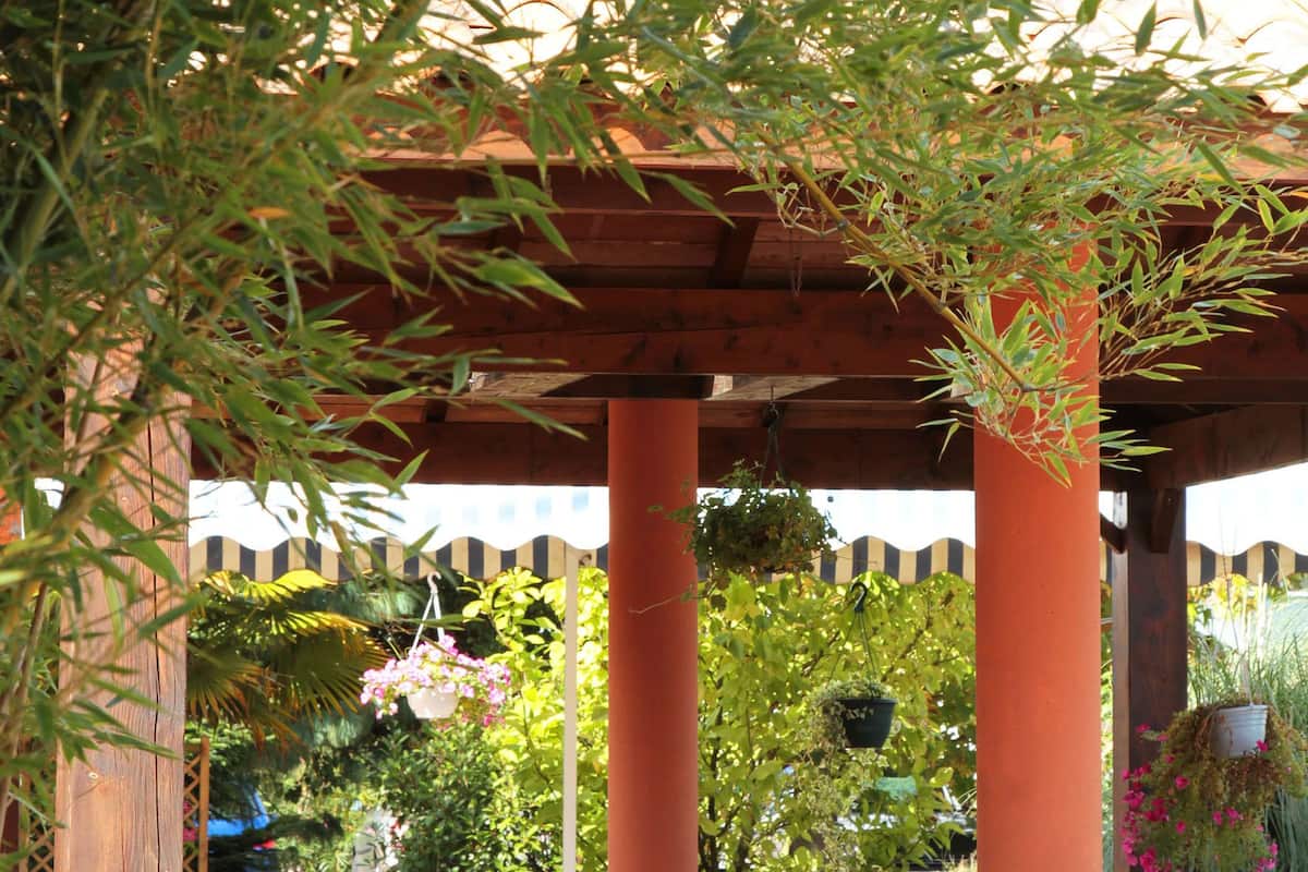 lunch and dinner served, pool views