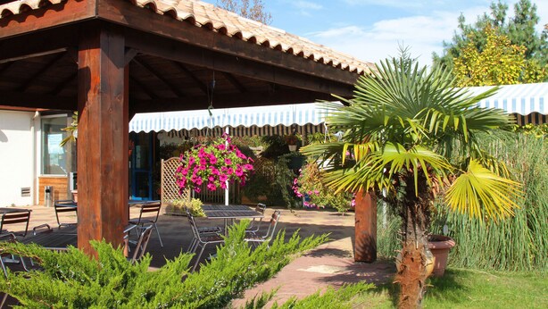 Un patio al aire libre con sillas y una mesa de madera, rodeado de plantas en macetas y una palmera.