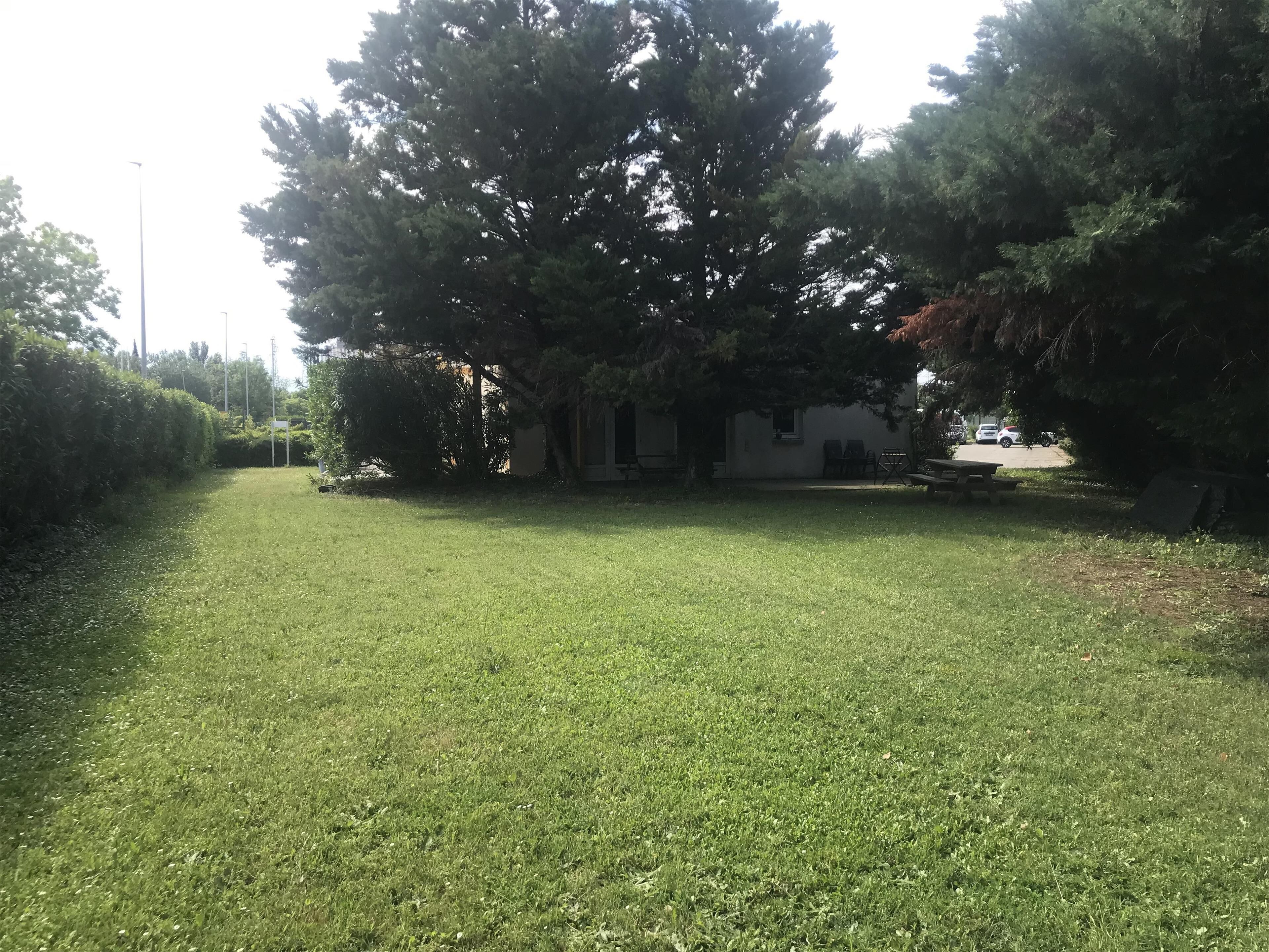 A grassy yard with a large tree, a building with a porch, and a picnic table.