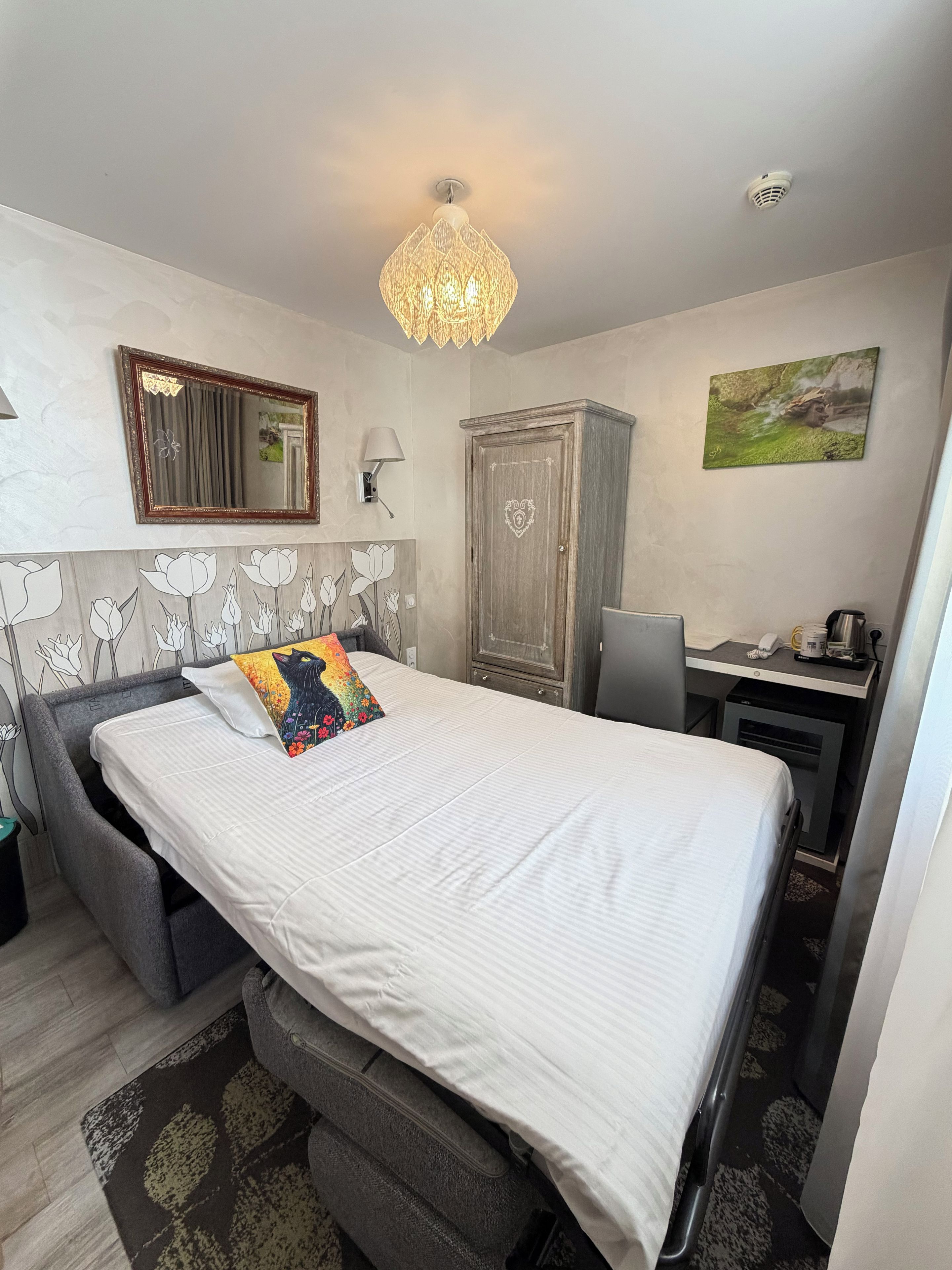 A bedroom with a bed, a desk, a wardrobe, and a chandelier.
