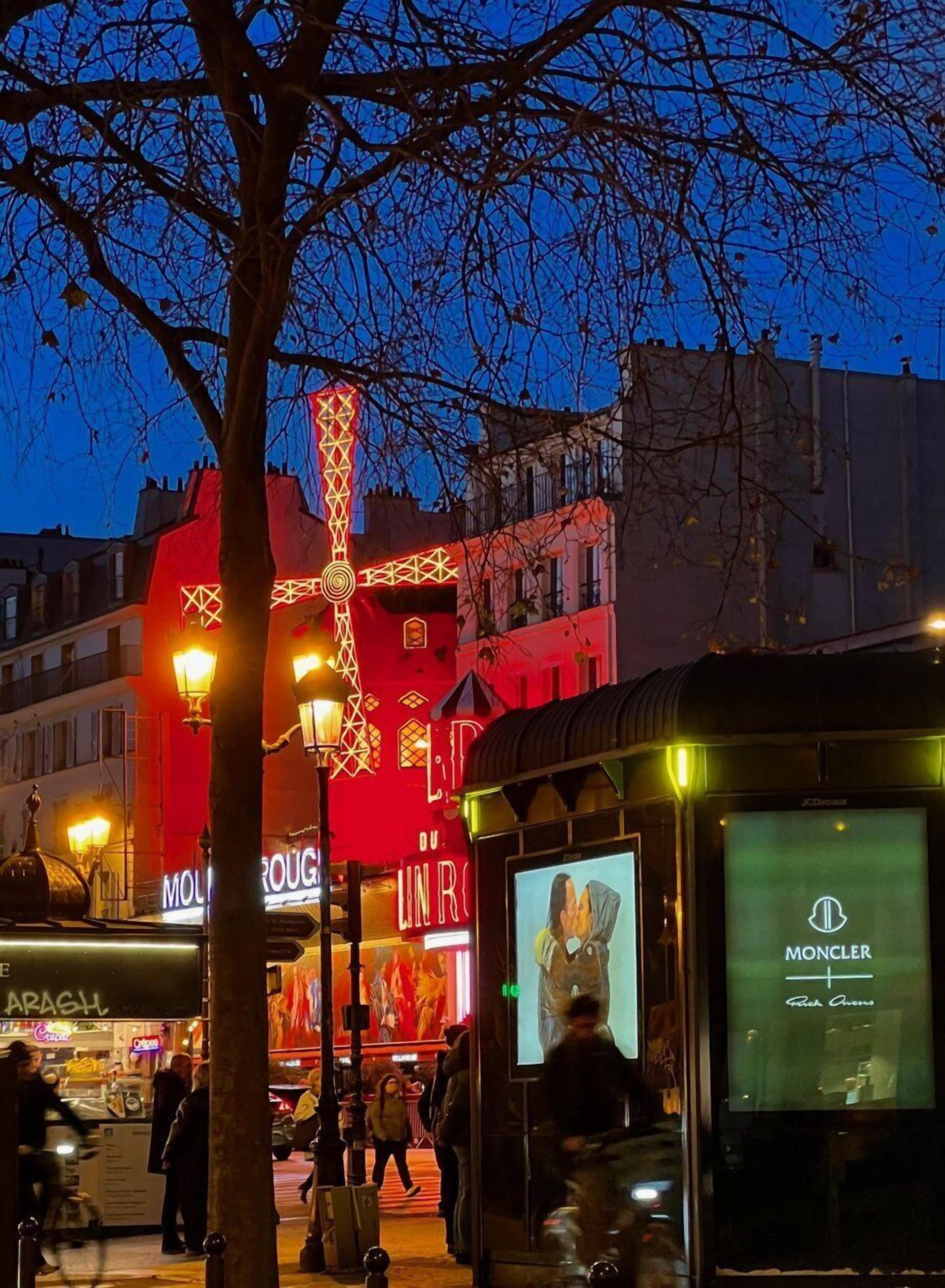 Photo - Artemisia Montmartre