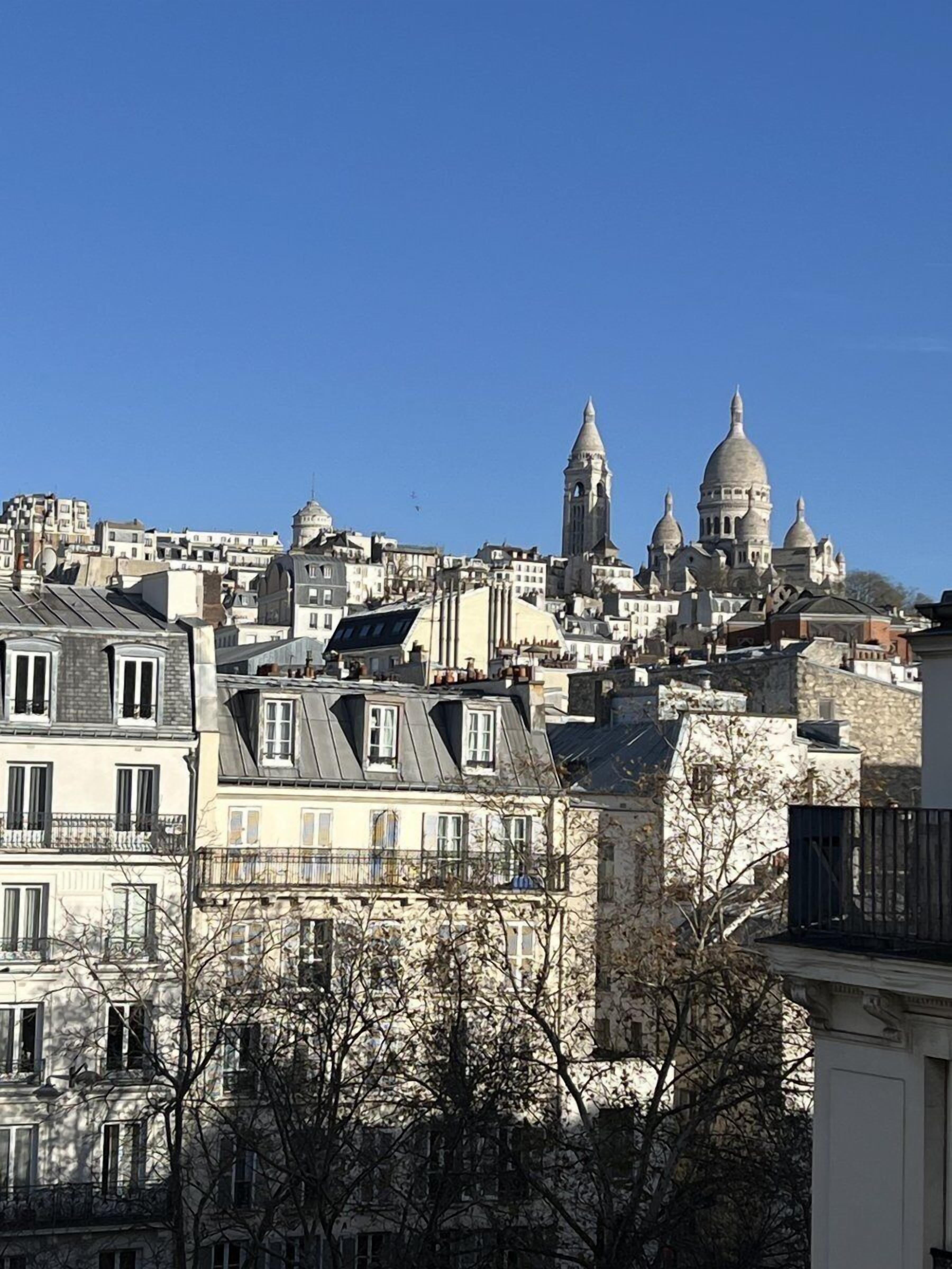 Photo - Artemisia Montmartre