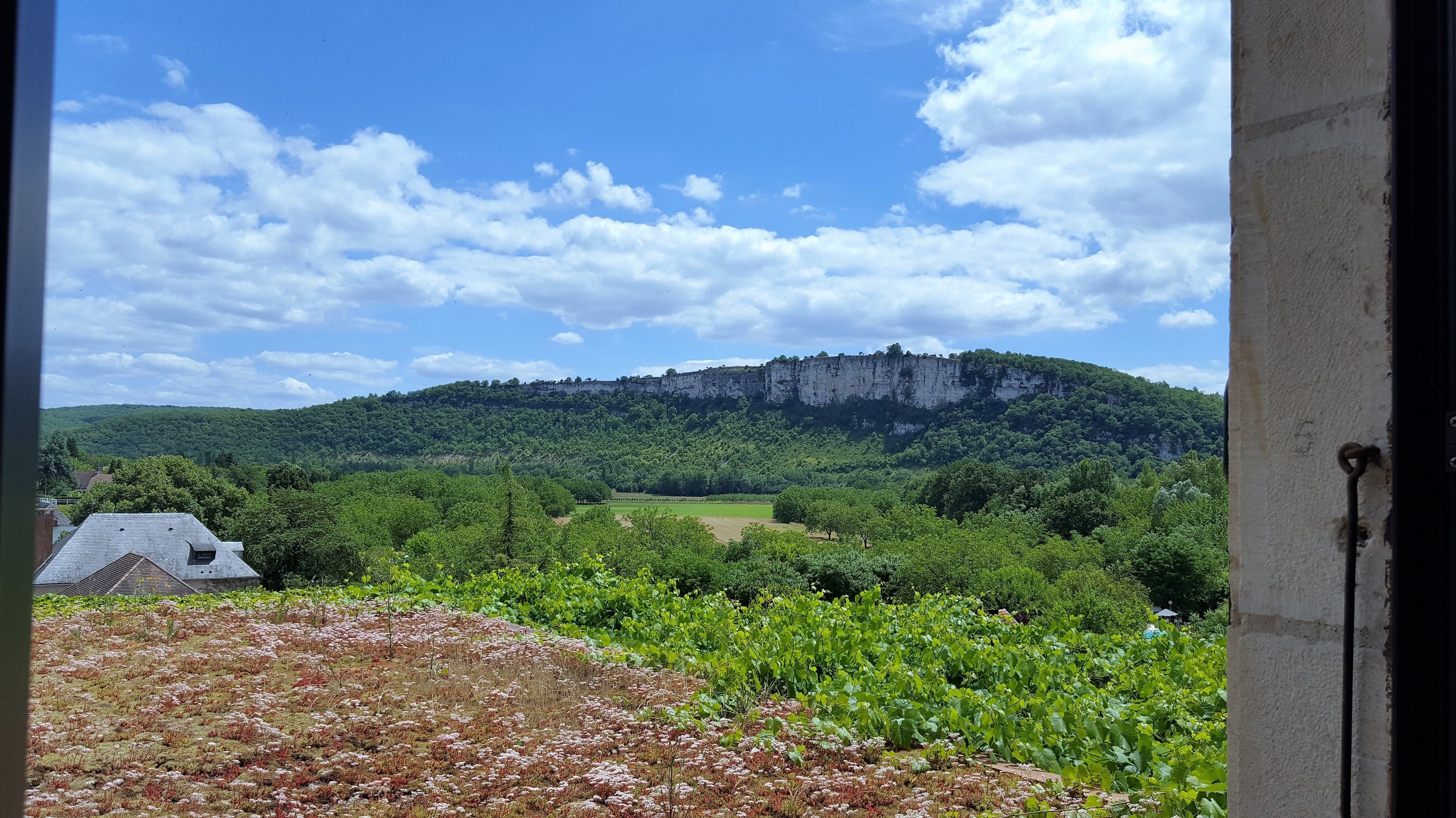 junior suite | view from room