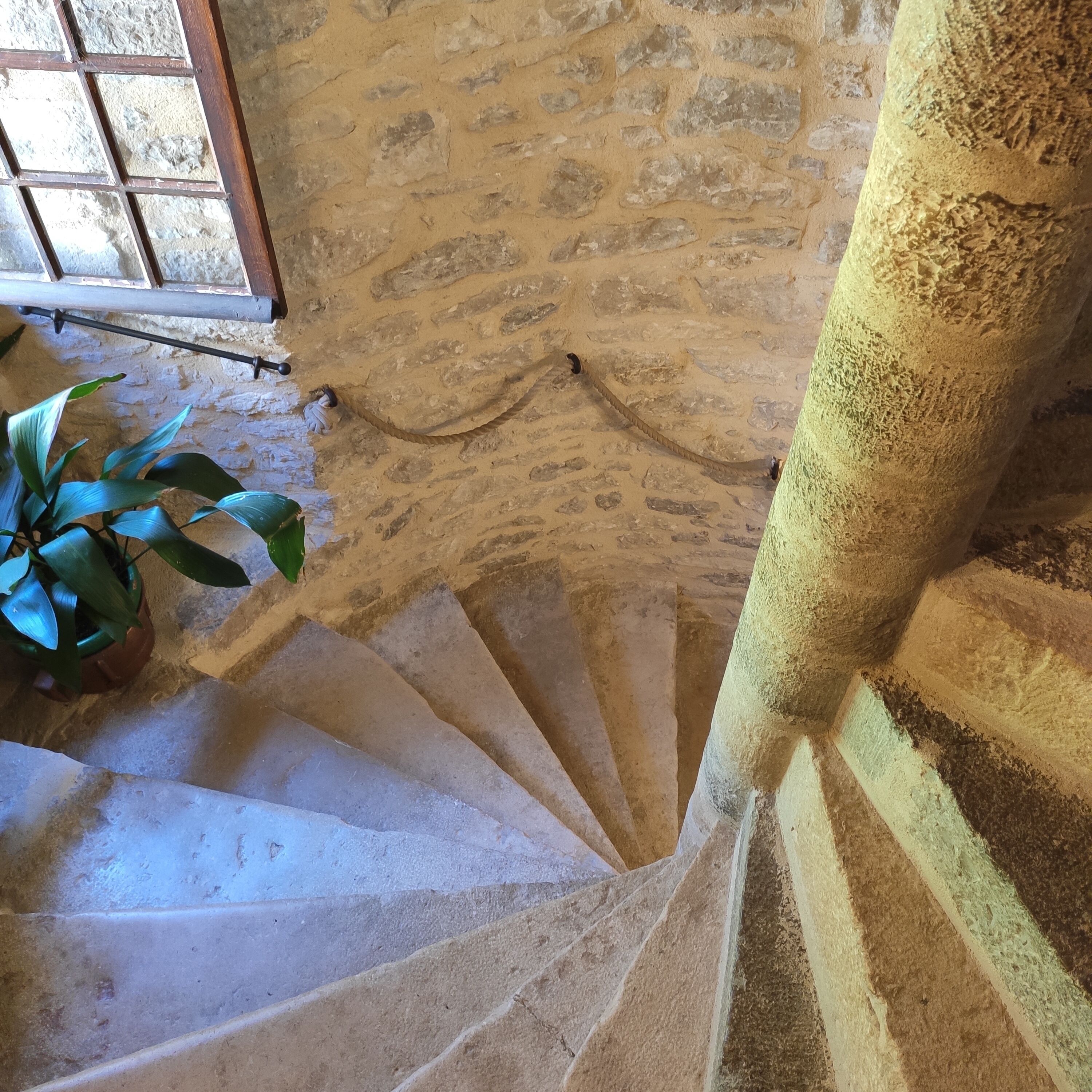 A spiral staircase with stone walls and a potted plant.