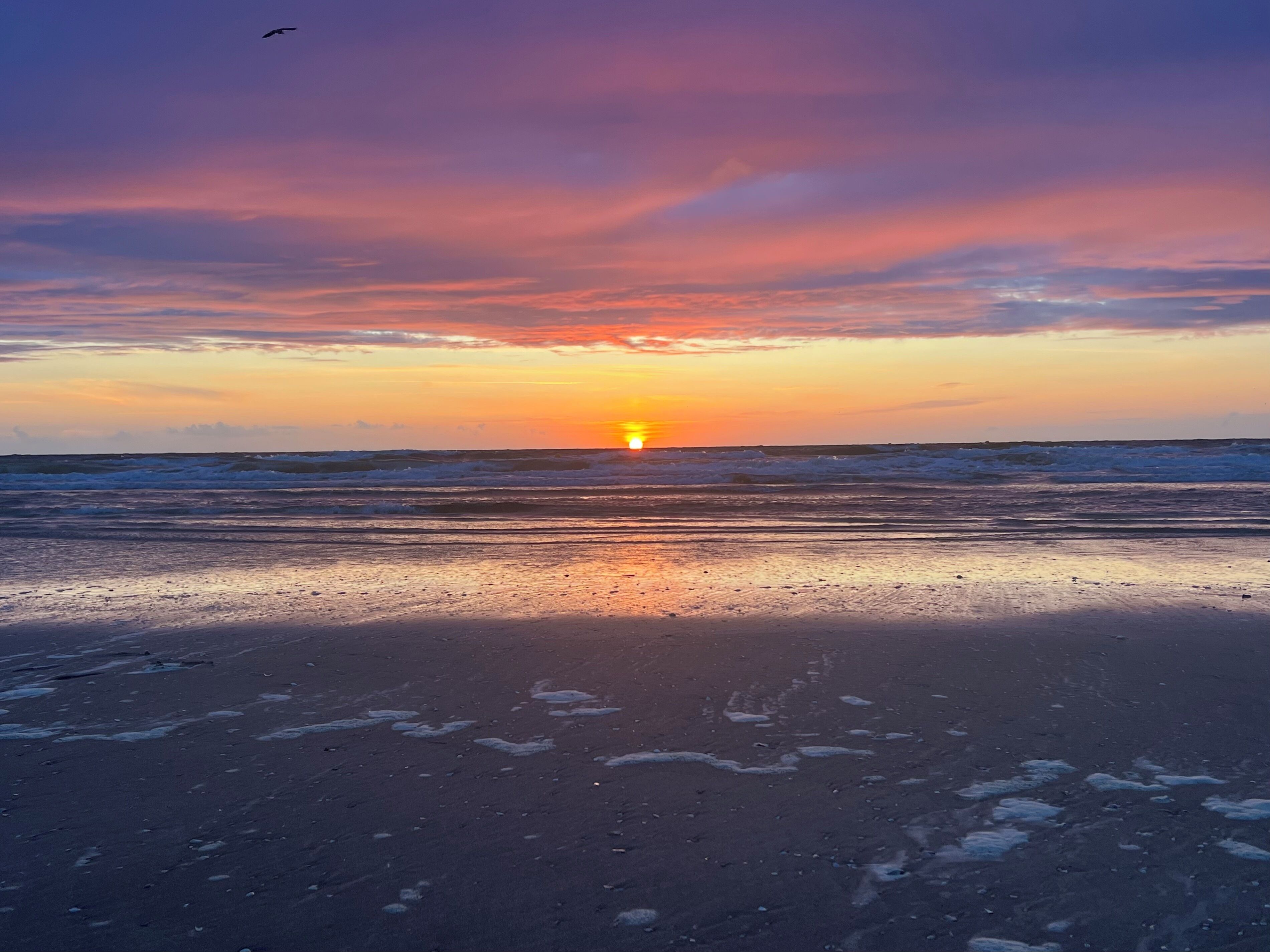 Platja privada a prop 