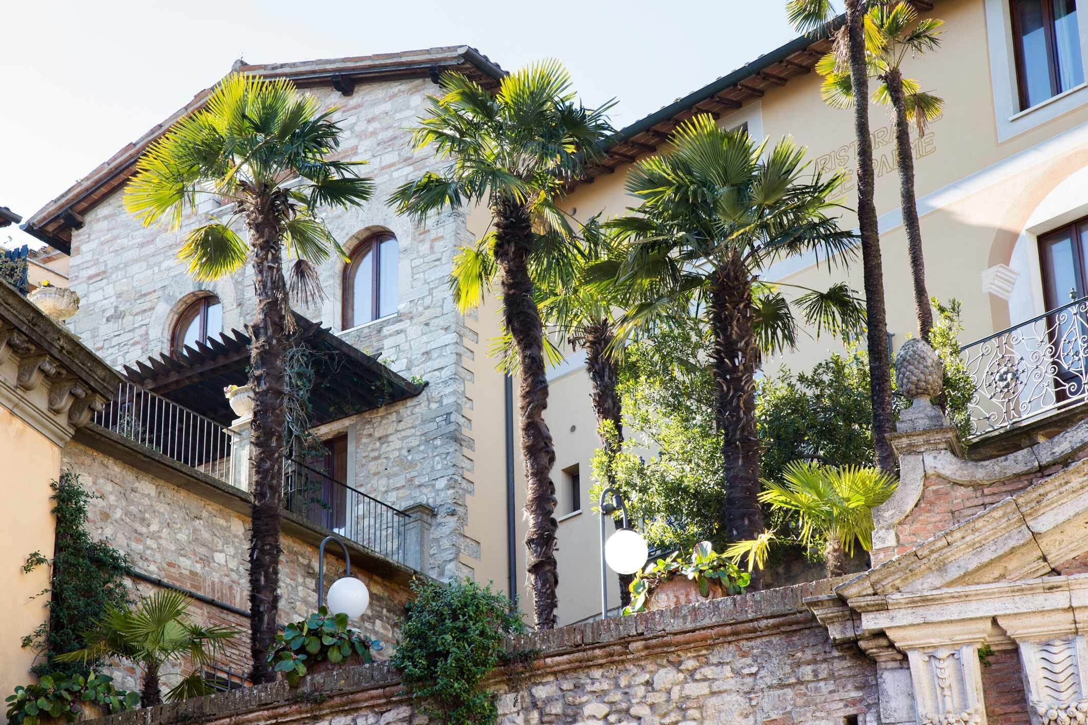 junior suite (venturini) | terrace/patio