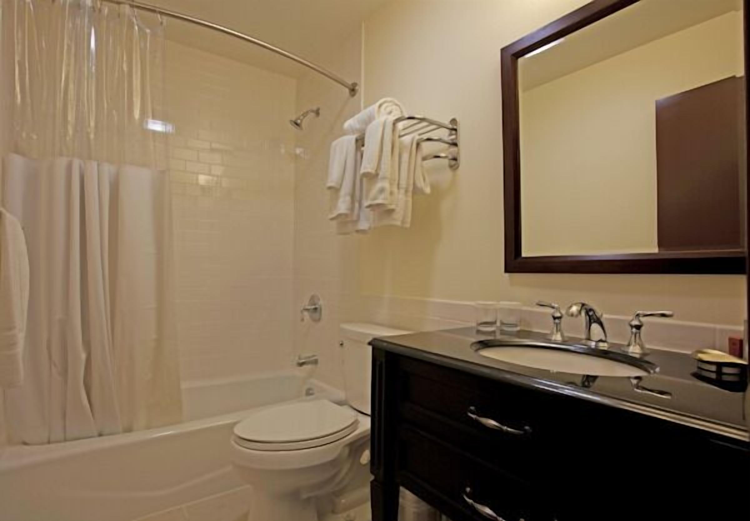 deluxe loft, mountain view | bathroom | combined shower/bathtub, free toiletries, hair dryer, towels