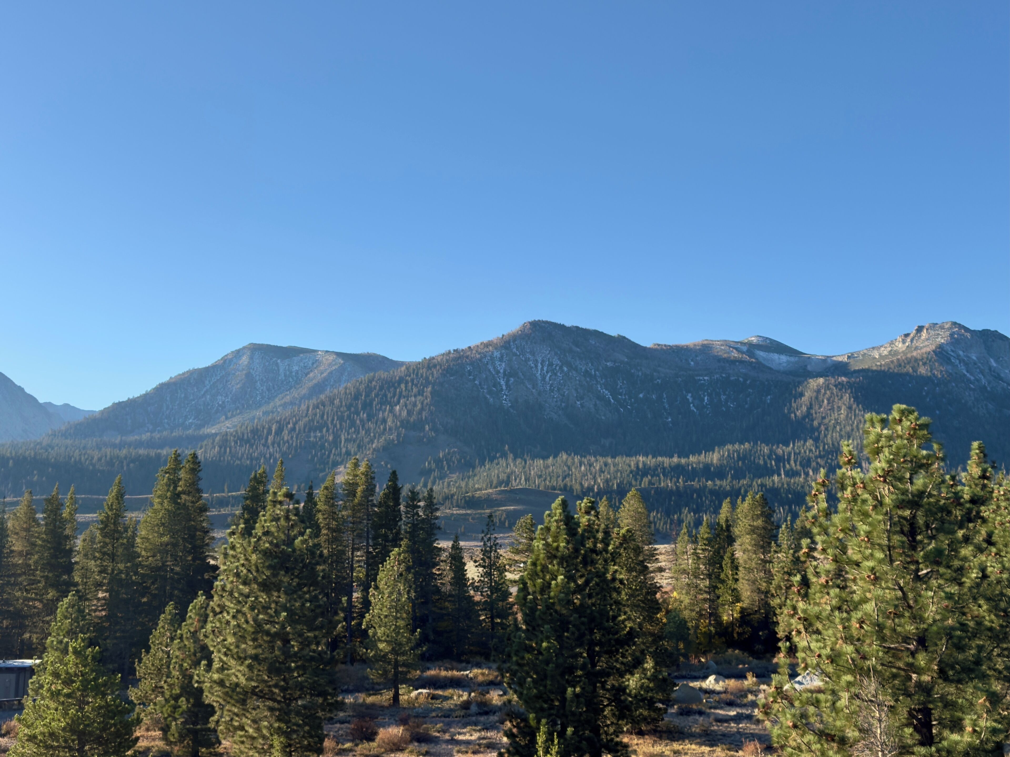 A mountainous landscape with dense forests in the foreground and snow-capped peaks in the background.