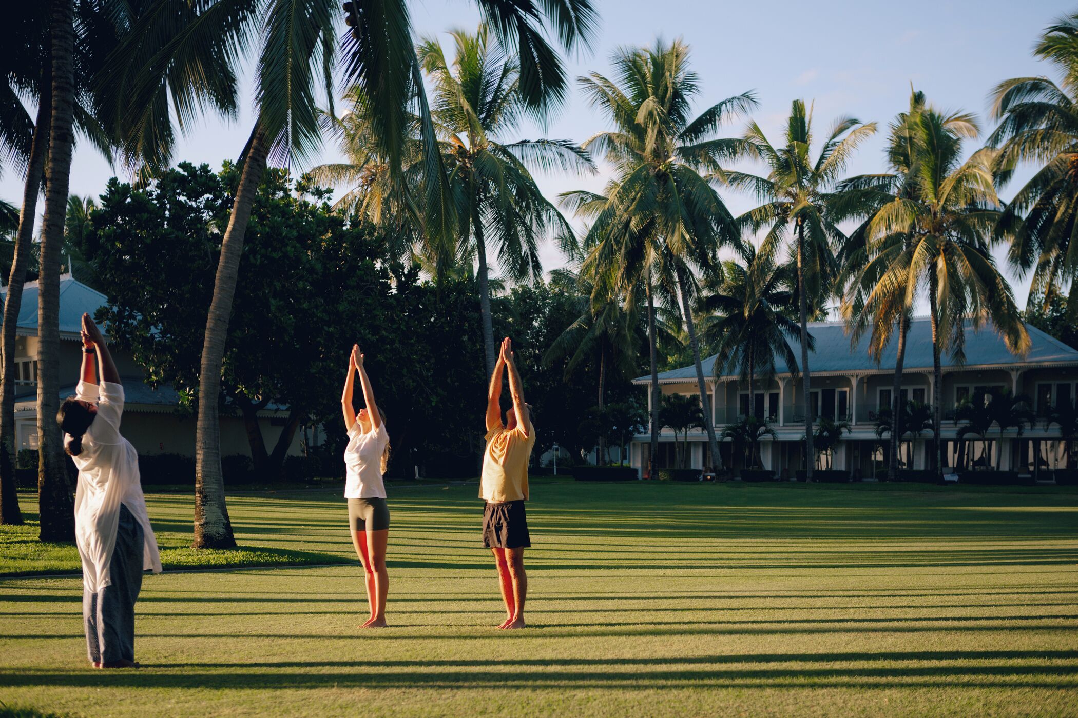 Three people performing yoga in a grassy area with palm trees and a building in the background.