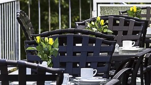 Sillas de comedor al aire libre con respaldo de celosía, tazas y platillos blancos sobre una mesa.