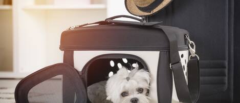 A small dog in a pet carrier next to a suitcase.