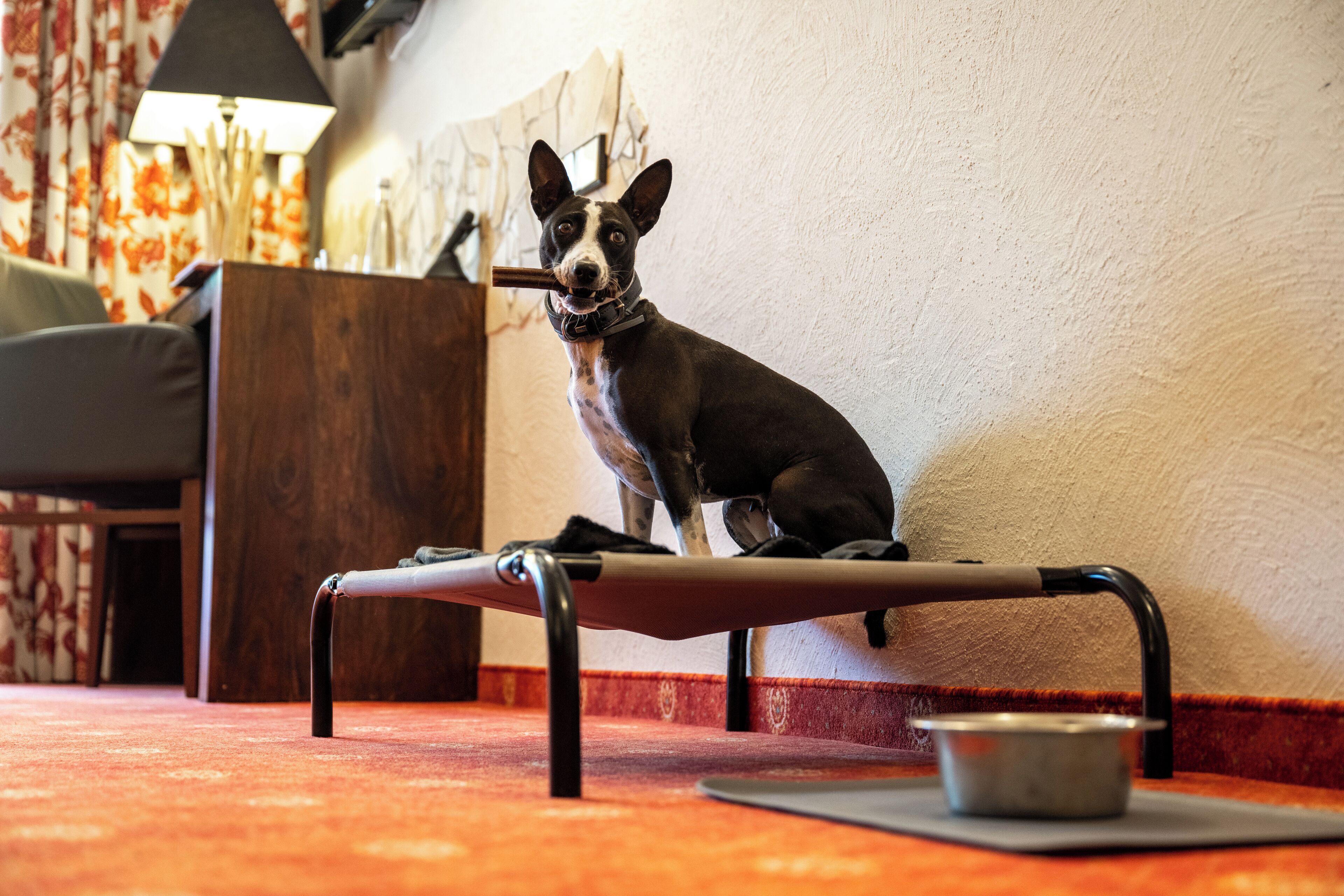 superior double room | 1 bedroom, in-room safe, desk, laptop workspace