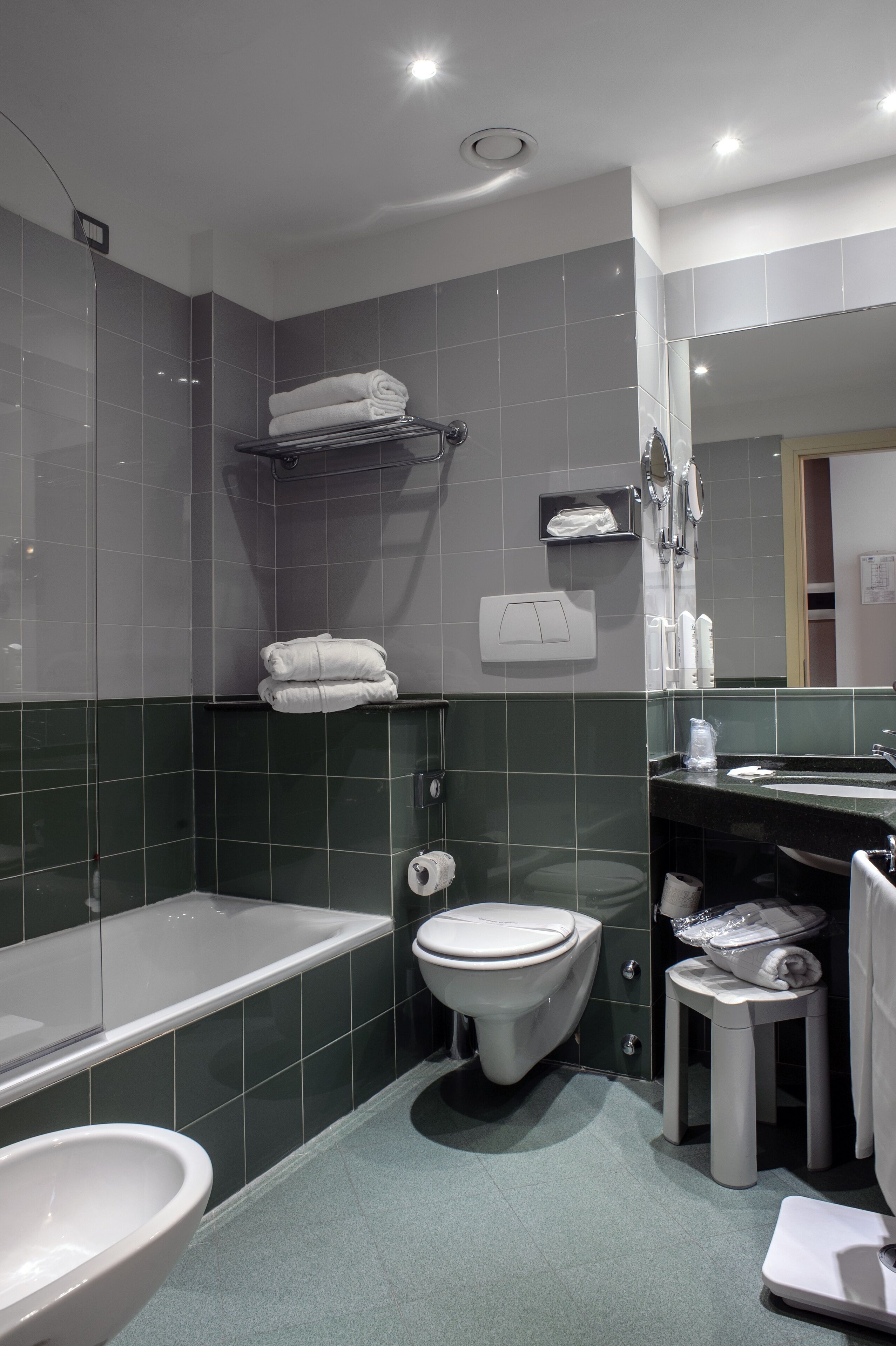 shower, hair dryer, bidet, towels