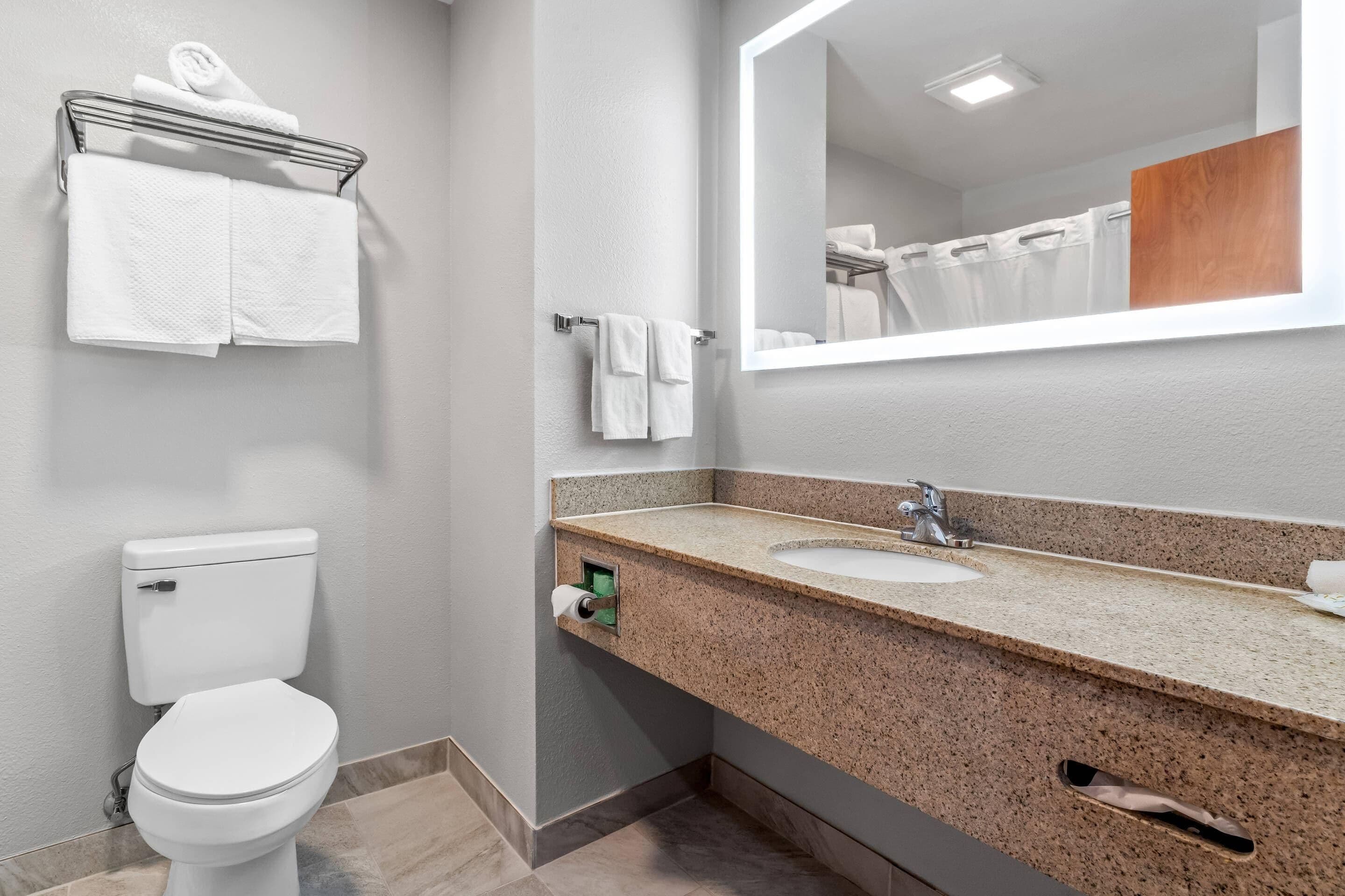 A bathroom with a toilet, sink, mirror, towel rack, and a shower curtain.