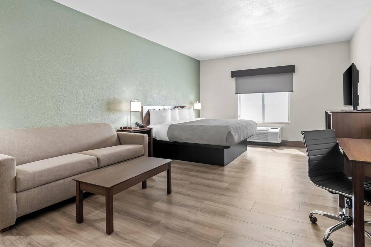 A hotel room with a bed, a sofa, a desk, a chair, and a TV.